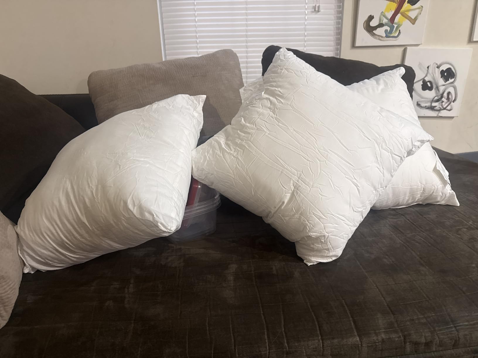 Foamily 18x18 Throw Pillow Insert, 100% Cotton Cover, Down Alternative customer photo 1