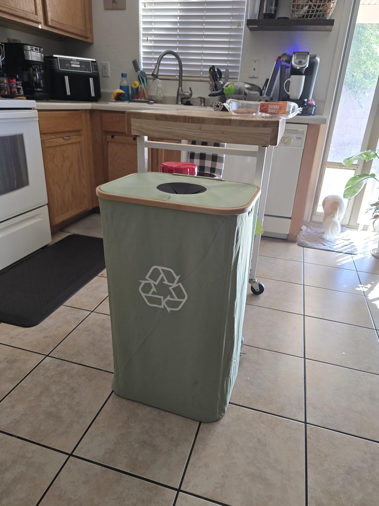 iEGrow 110L Recycling Bins for Kitchen,29Gal Recycle Bins with Lid,Green customer photo 1