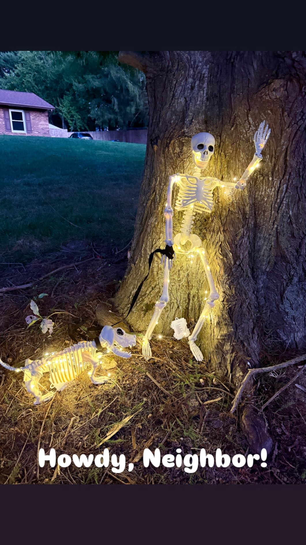 Lighted Human & Dog Skeleton Halloween Decorations Outdoor/Indoor - 36 Inch Realistic Full Body Movable Posable Skeleton Spooky Halloween Decor for Garden Yard Porch Party Haunted Graveyard customer photo 1