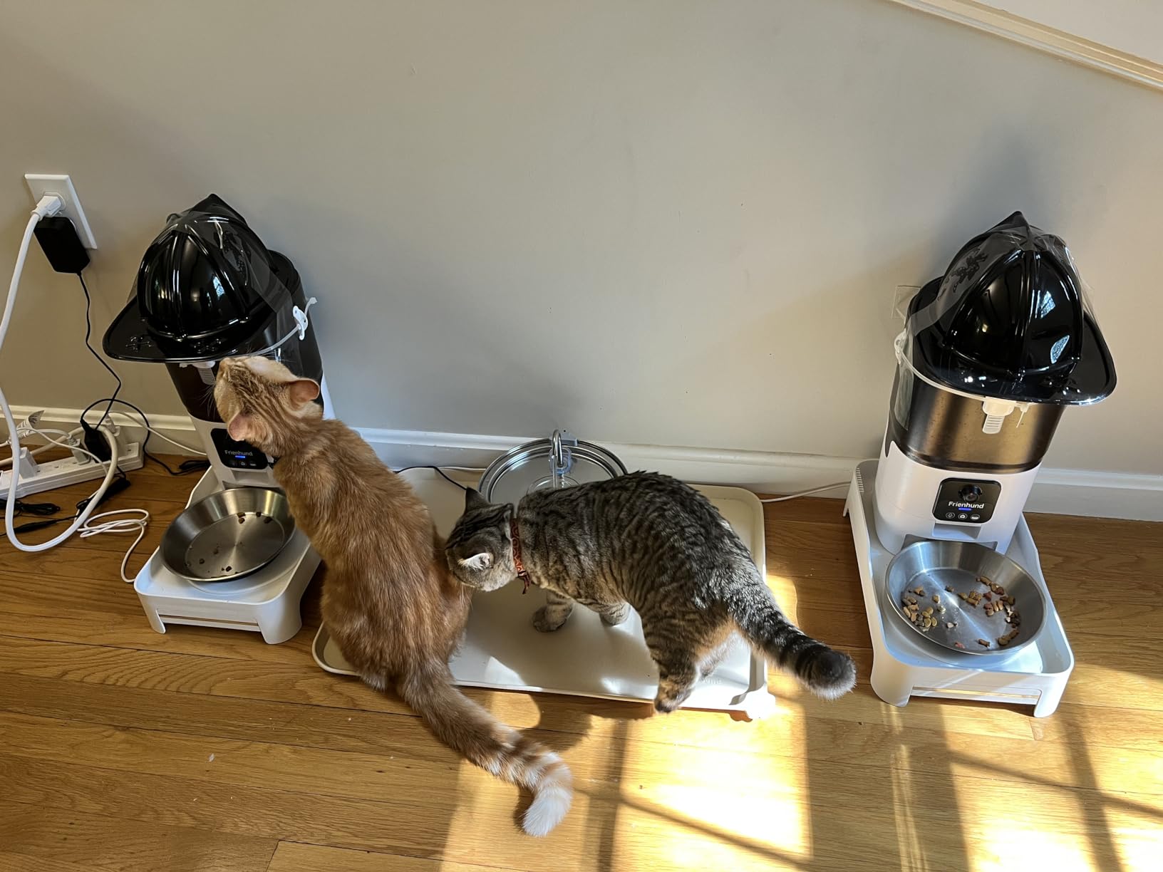 Frienhund Automatic Cat Feeder with Two 1080P Camera for 2 Cats: 7L Automatic Dog Feeder with Night Vision & Slow Feed, 5G WiFi Auto Cat Food Dispenser for Multiple Pet, Detachable for Clean (ACF180W-C) customer photo 1