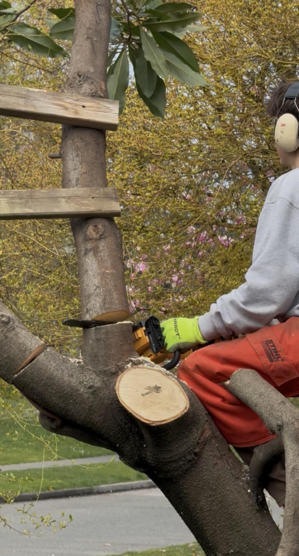 Brushless Electric Chainsaw 12