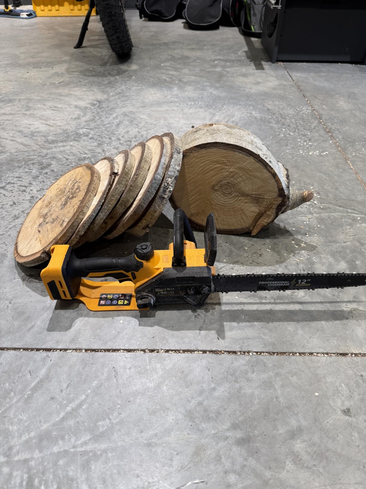 Brushless Electric Chainsaw 12