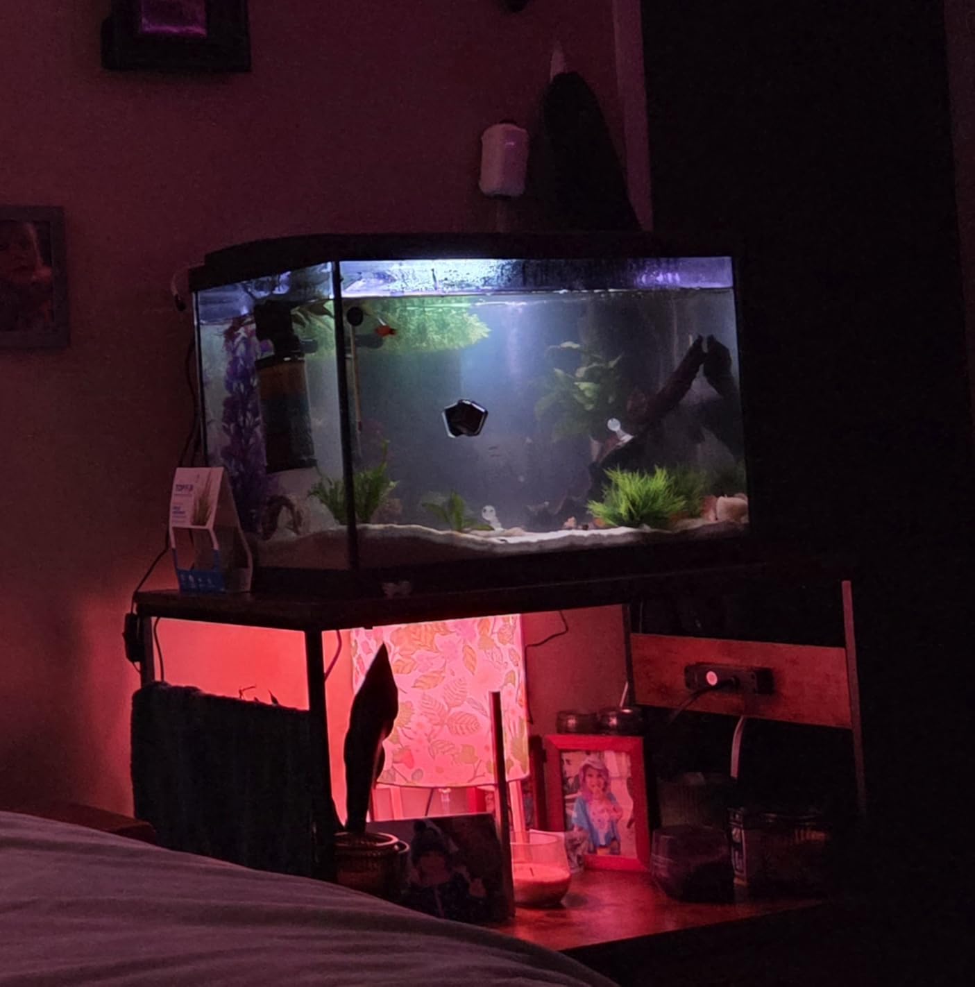 Heybly 20-29 Gal Fish Tank Stand with Drawer, Power Outlet,330lbs HAS001BK customer photo 2