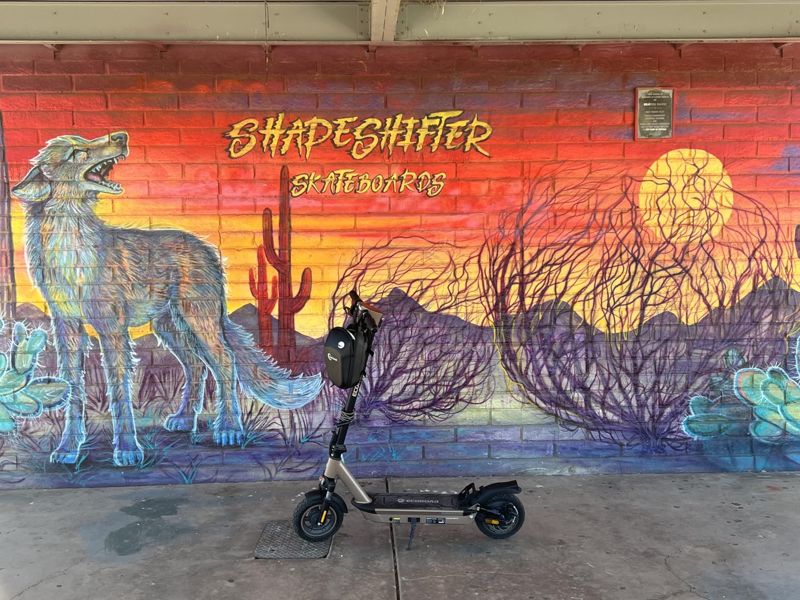 ECOROAD Electric Scooter for Adults 750W 25 MPH 30-35 Miles Long Range customer photo 2