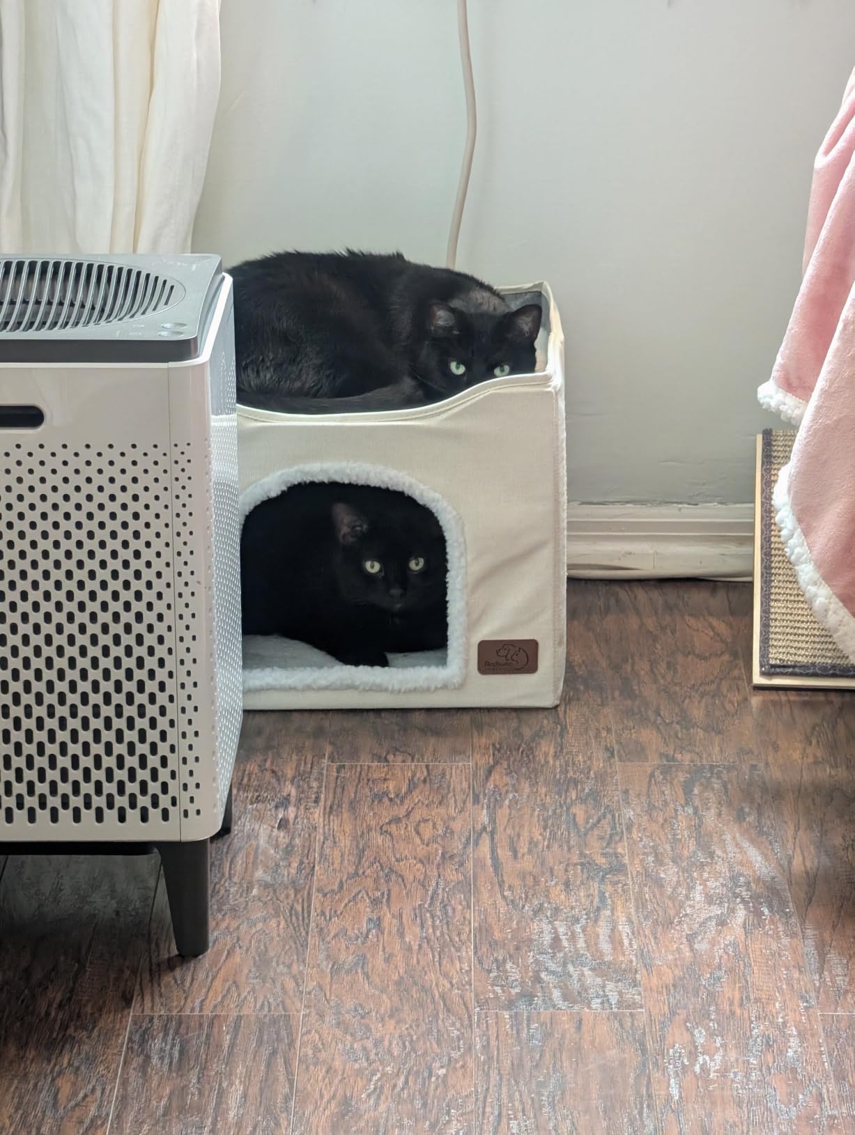 Bedsure 3-Level Cat Tree for Indoor Cats with Scratching Post,Grey customer photo 2