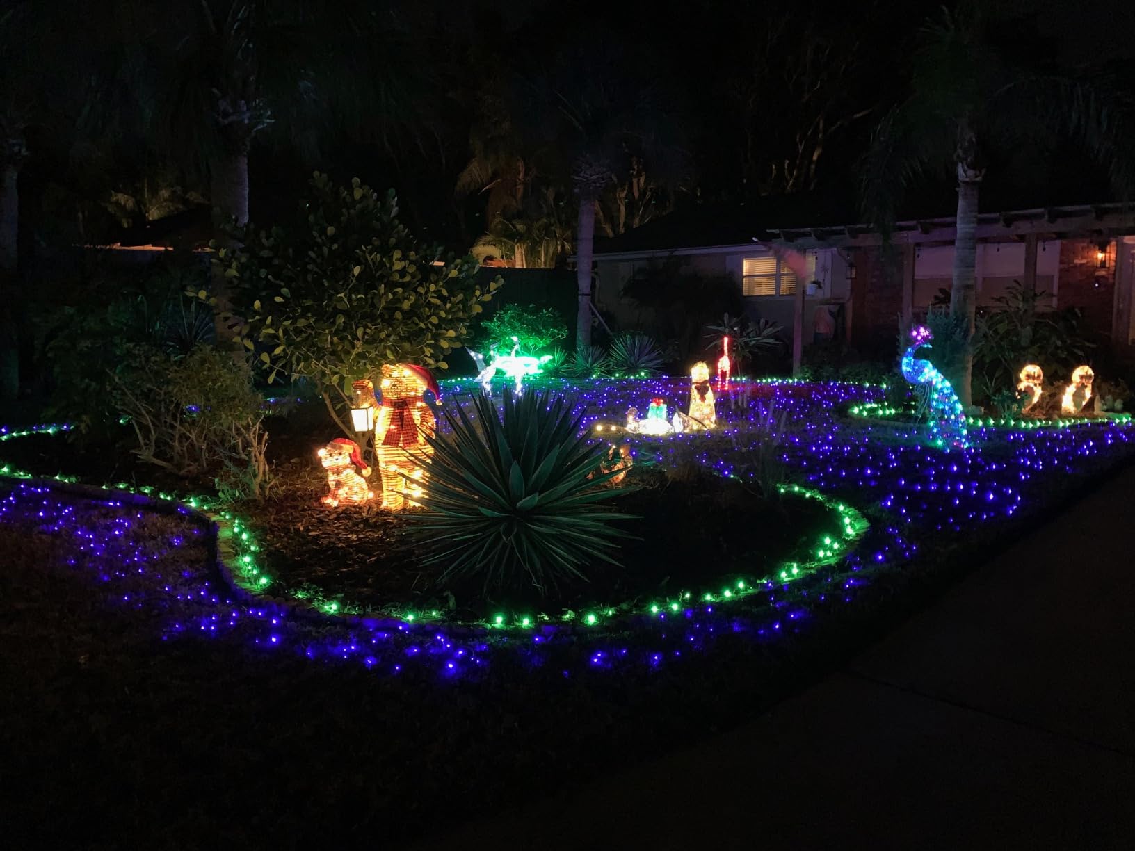 TW SHINE Smart Color Changing Christmas Lights Outdoor, 328FT 1000 LED RGB Halloween String Lights with Remote & App Control & Timer Waterproof for Indoor Holiday Xmas Tree Wedding Decorations customer photo 2