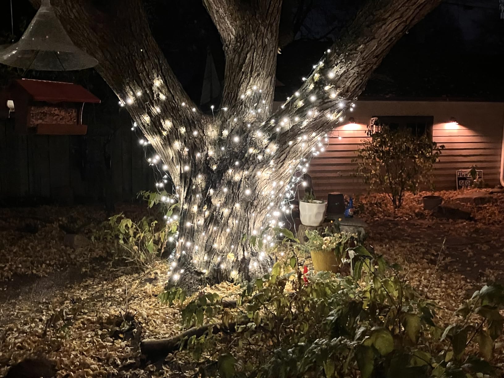 Led Net Lights Christmas Lights Outdoor 200Led 9ftx6ft Upgraded Red and Green Christmas Net Lighting, Waterproof 5mm LED Wide Angle Outdoor Indoor Mesh Net Light for Trees, Bushes, Shrubs Decorations customer photo 2