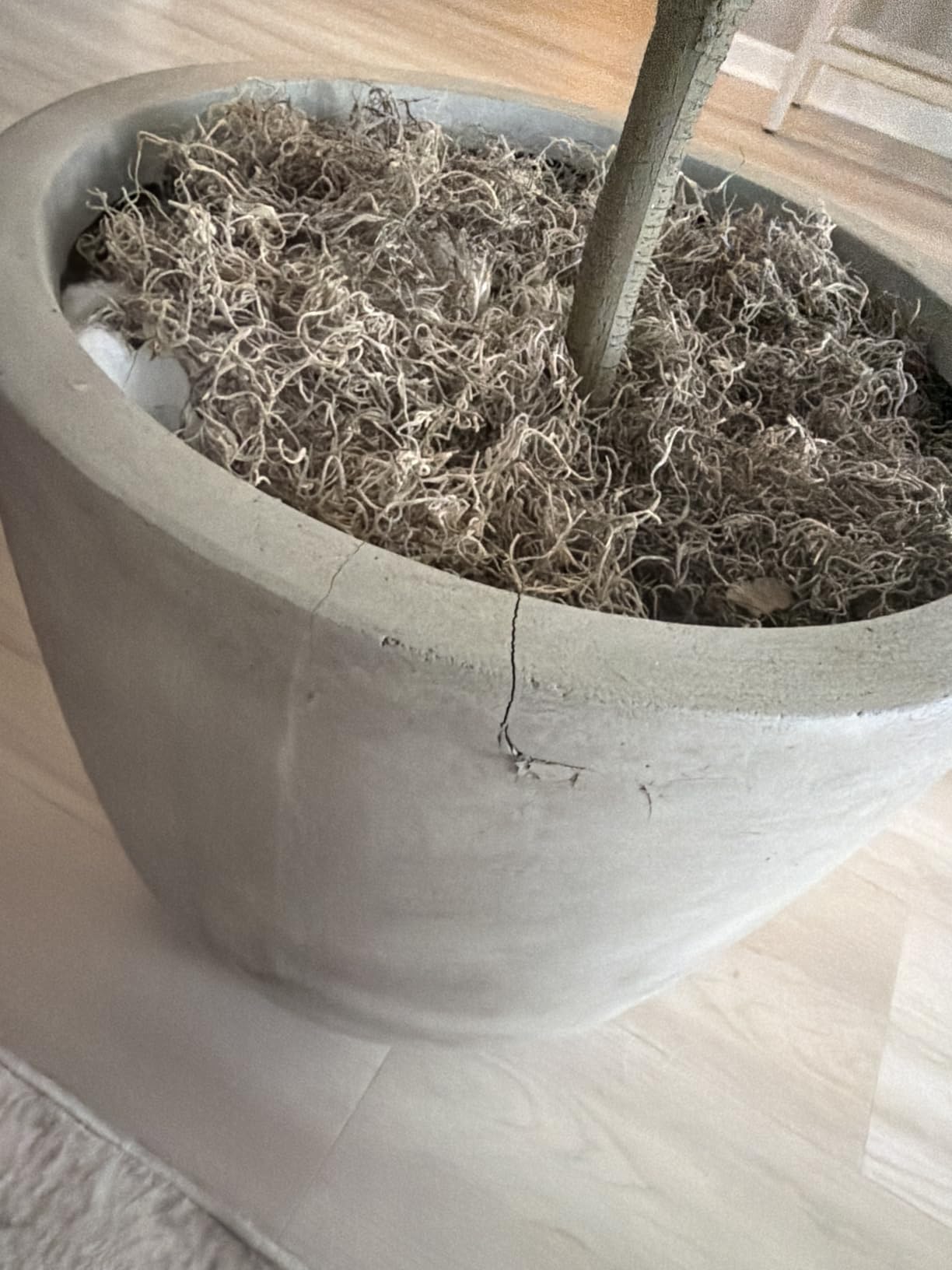 Kante Large Round Bowl Rusty Concrete Planter 18