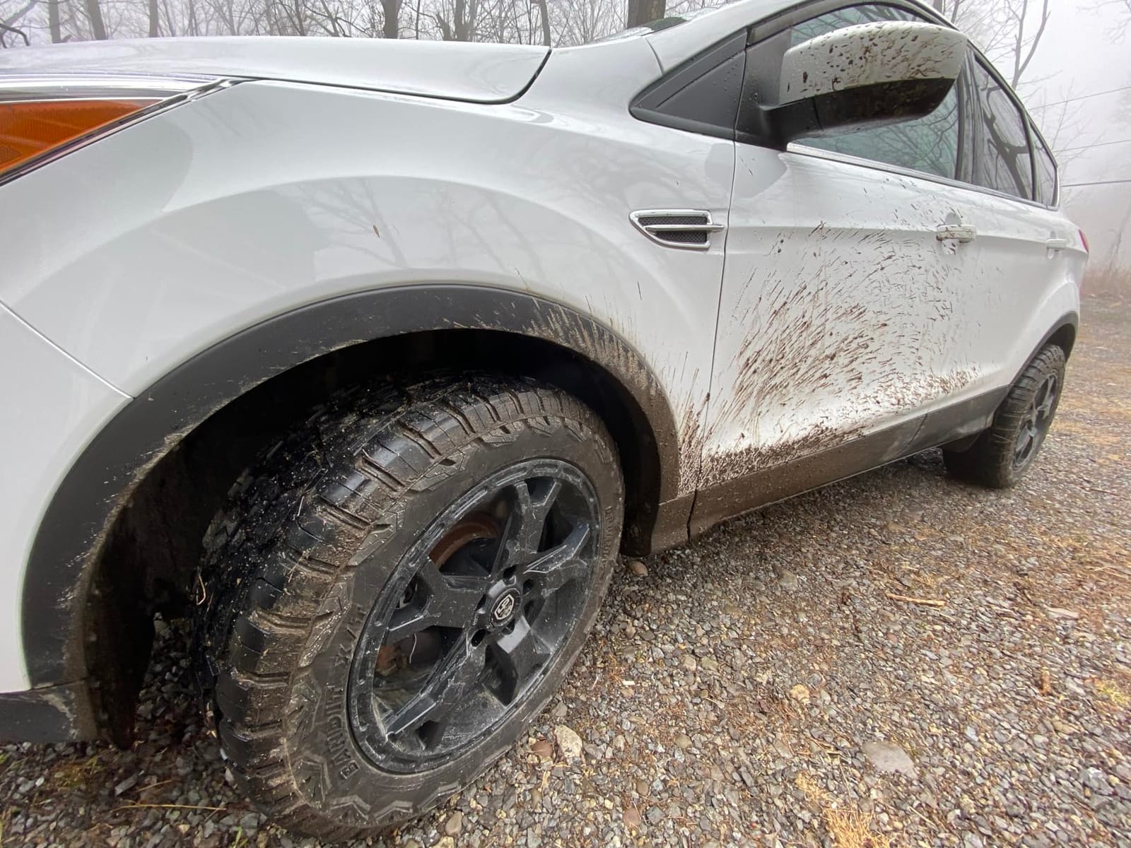 Delinte DX-20 Bandit X/T 225/65R17 102H SL All Weather 17 inch Extreme Terrain Tire customer photo 2