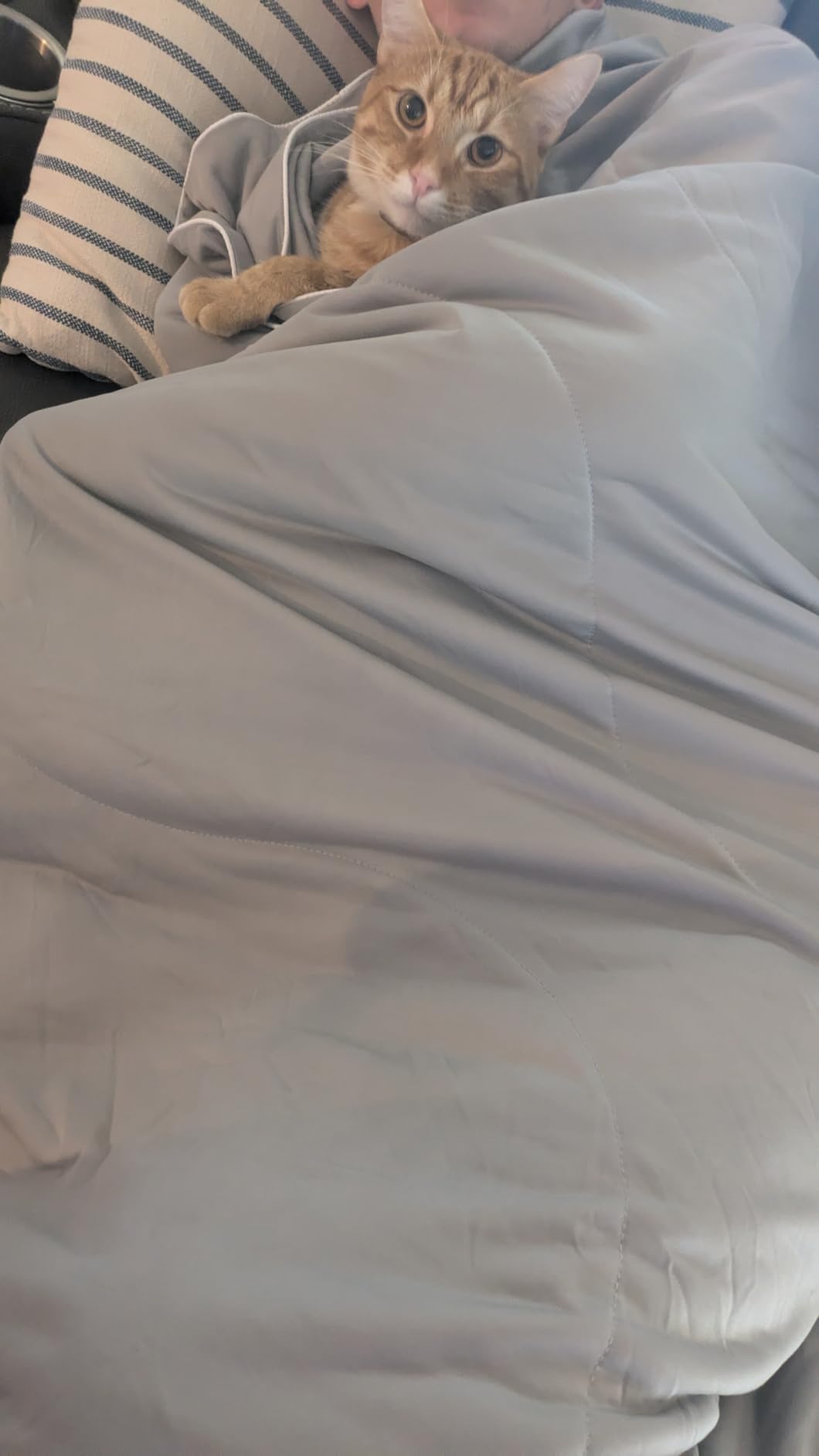 DOWNCOOL Cooling Comforter Queen Size, Blanket with Cooling Pillowcases | Summer Comforter for Hot Sleepers, 3-Piece Lightweight Bedding Set for Night Sweats, Grey 90