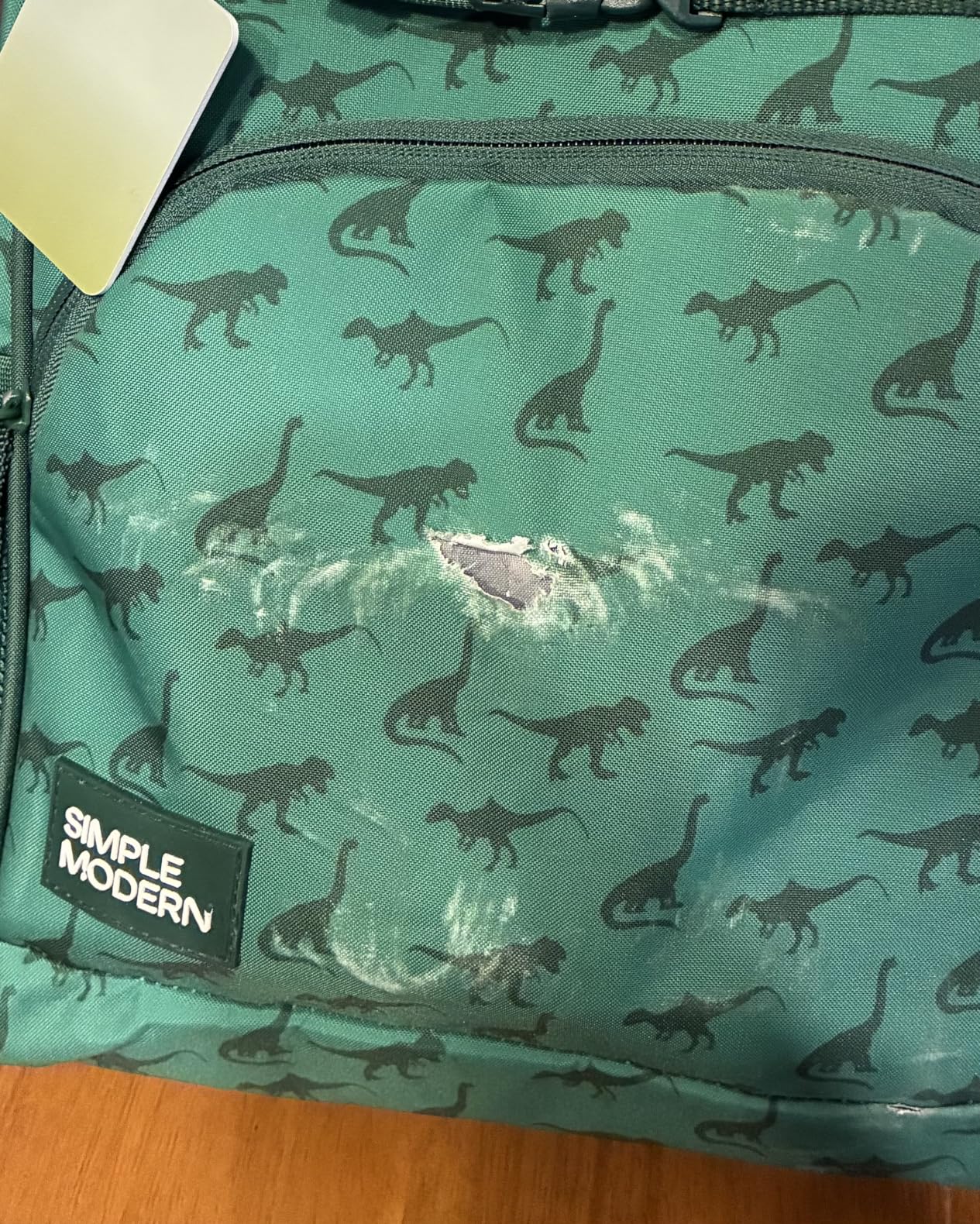 Simple Modern Kids Backpack for School, Girls, Boys | 12L | Dinosaur customer photo 1
