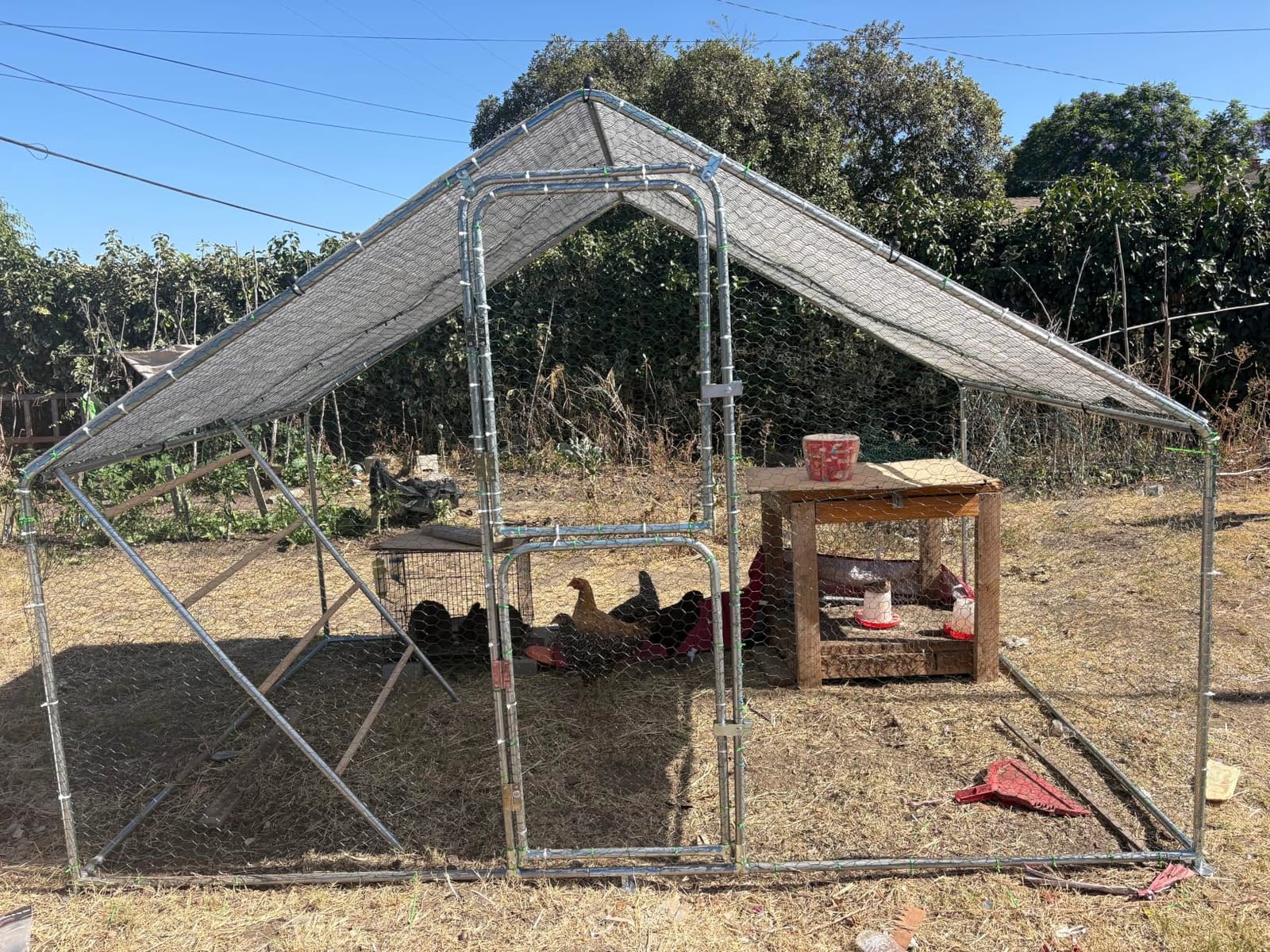 UDPATIO Large Metal Chicken Coop Walk in Run House Pen Galvanized Frame customer photo 1