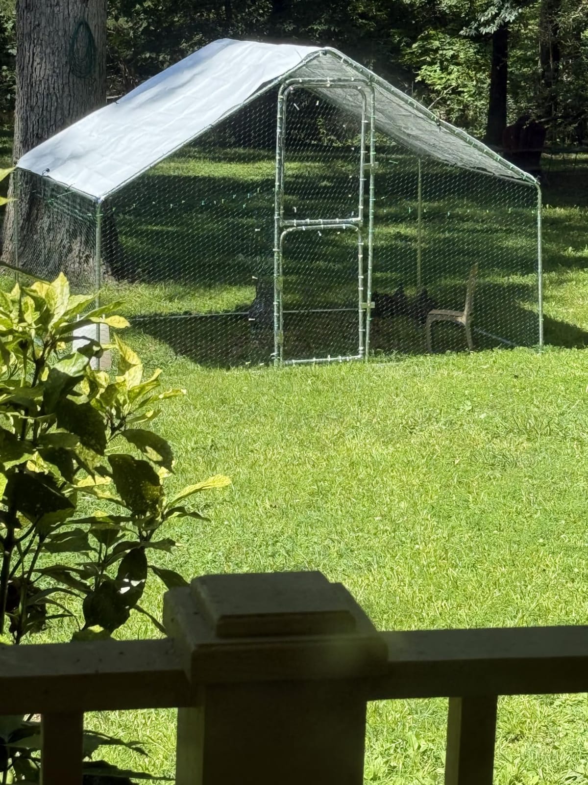 UDPATIO Large Metal Chicken Coop Walk in Run House Pen Galvanized Frame customer photo 2