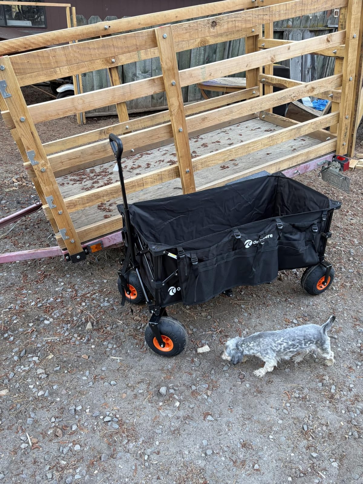 Originsure 300L Collapsible Beach Wagon with Balloon Wheels, 560lbs, Black | 48