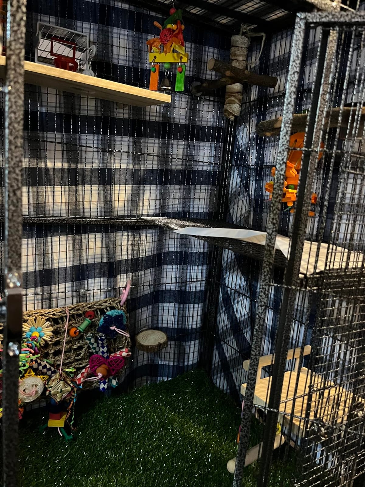 X-Large Sturdy Wrought Iron Breeding Flights Canary Parakeet Cockatiel African Grey Lovebird Finches Parrot Home Cage Double Large Front Doors 4 Side Doors Bottom Storage Shelf On Lockable Wheels customer photo 1