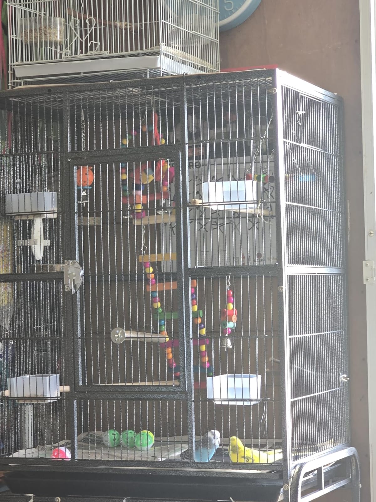 X-Large Sturdy Wrought Iron Breeding Flights Canary Parakeet Cockatiel African Grey Lovebird Finches Parrot Home Cage Double Large Front Doors 4 Side Doors Bottom Storage Shelf On Lockable Wheels customer photo 2