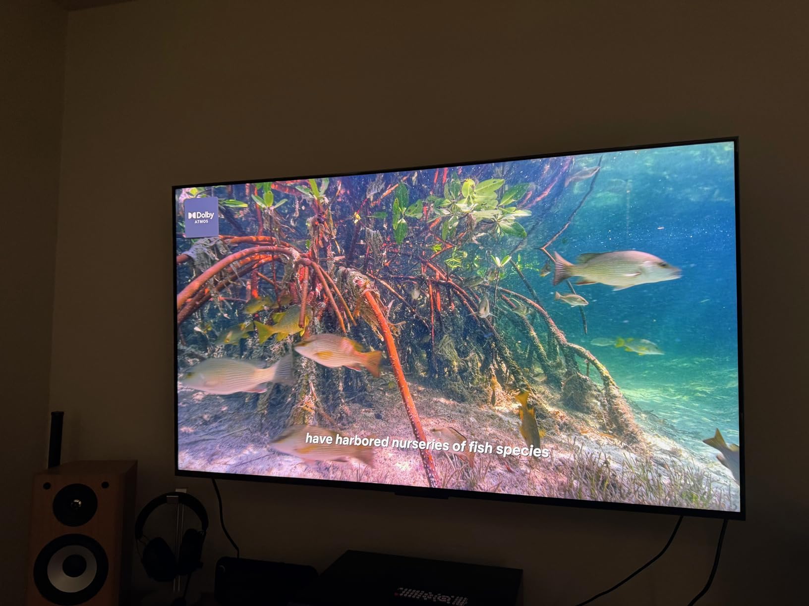 TCL 65 Inch Class QM7L Series SQD-Mini-LED QLED Smart TV (65QM7L, 2026 Model) 144Hz Ultimate Color Ultra Brightness & Contrast, Google AI Bang & Olufsen Gaming TV customer photo 2