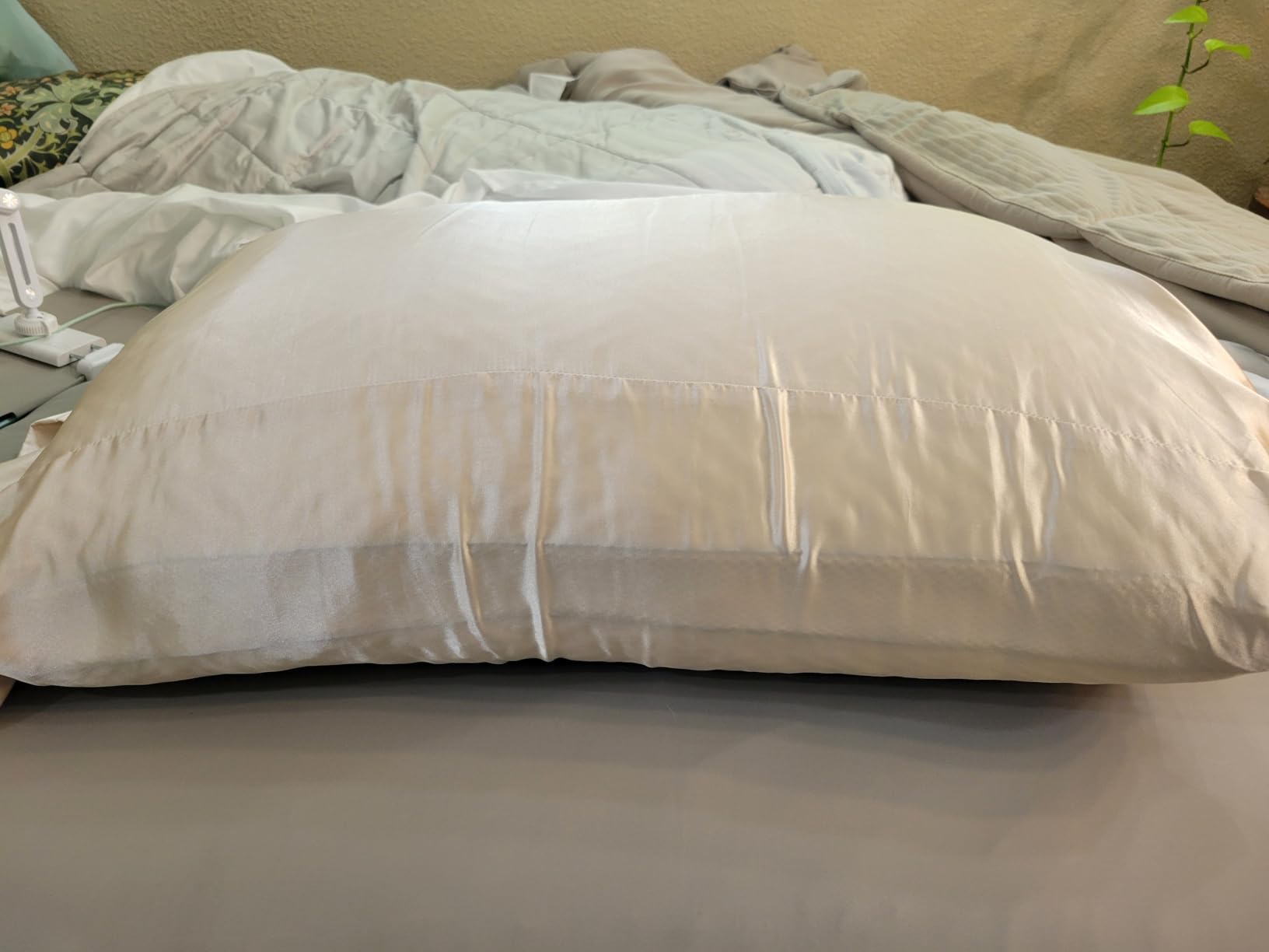 Premium Canadian Goose Down Pillow Queen Size Set of 2 Pack | 900+ Fill Power 100% Cotton Shell, Luxury Hotel Quality Bed Feather Pillow for Side Back Stomach Sleepers (White, 20