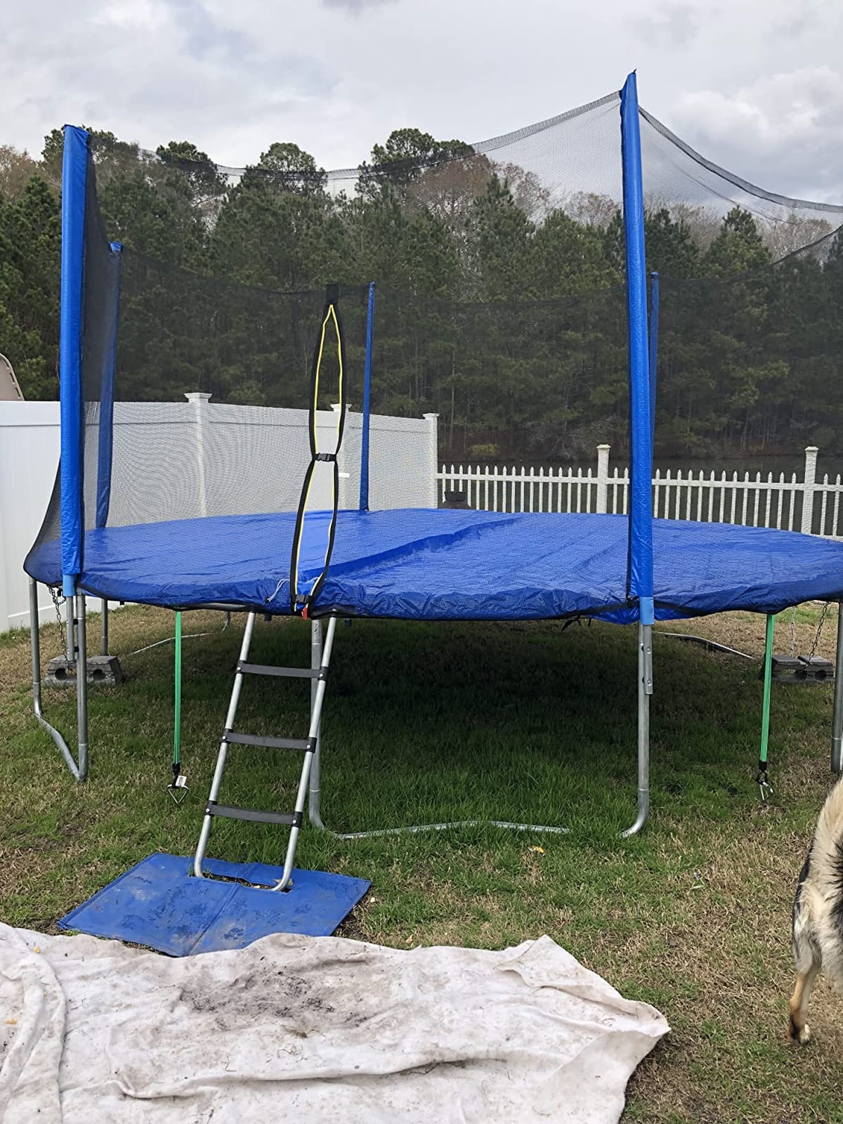 ORCC 1200LBS Weight Capacity Kids Trampoline 16 15 14 12 10 8FT Outdoor Yard Trampolines for Kids Adults, Heavy-Duty Galvanized Steel Frame Recreational Trampoline customer photo 2