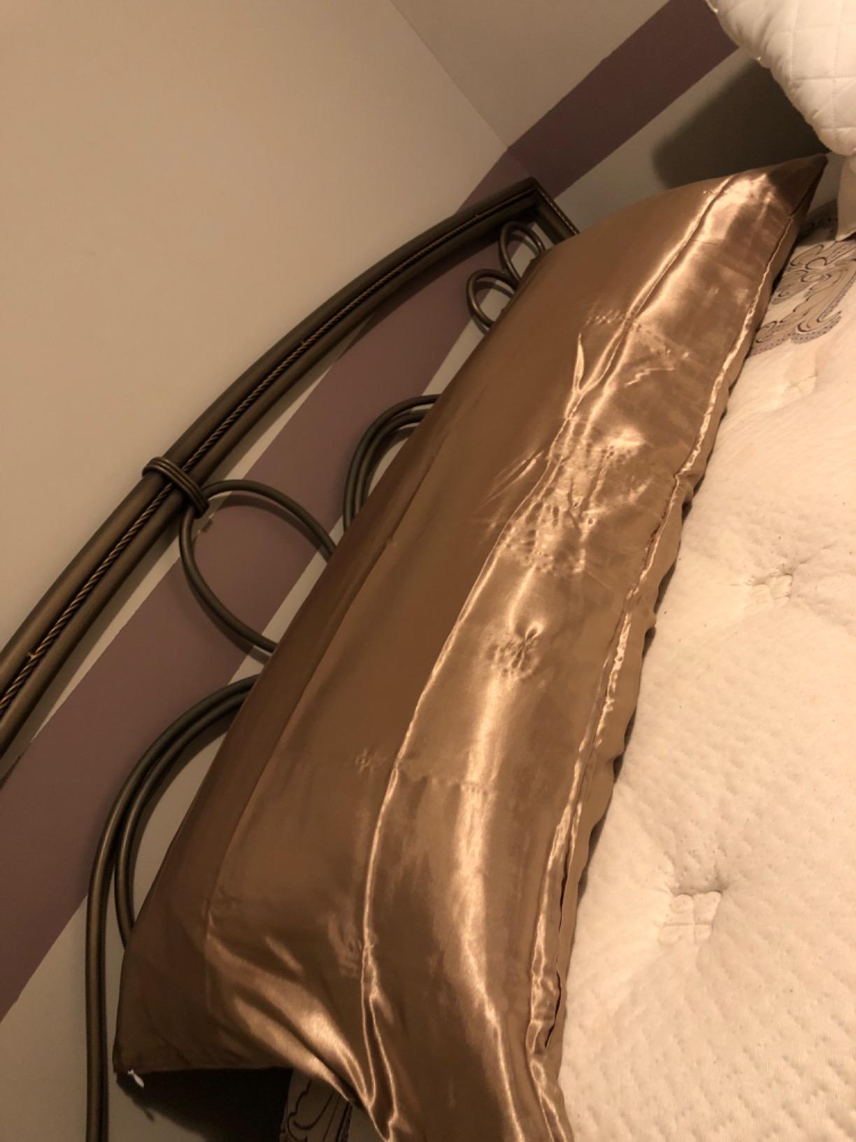 Goose Feather and Down Pillows Standard Size Set of 2, Luxury Bed Pillows customer photo 1