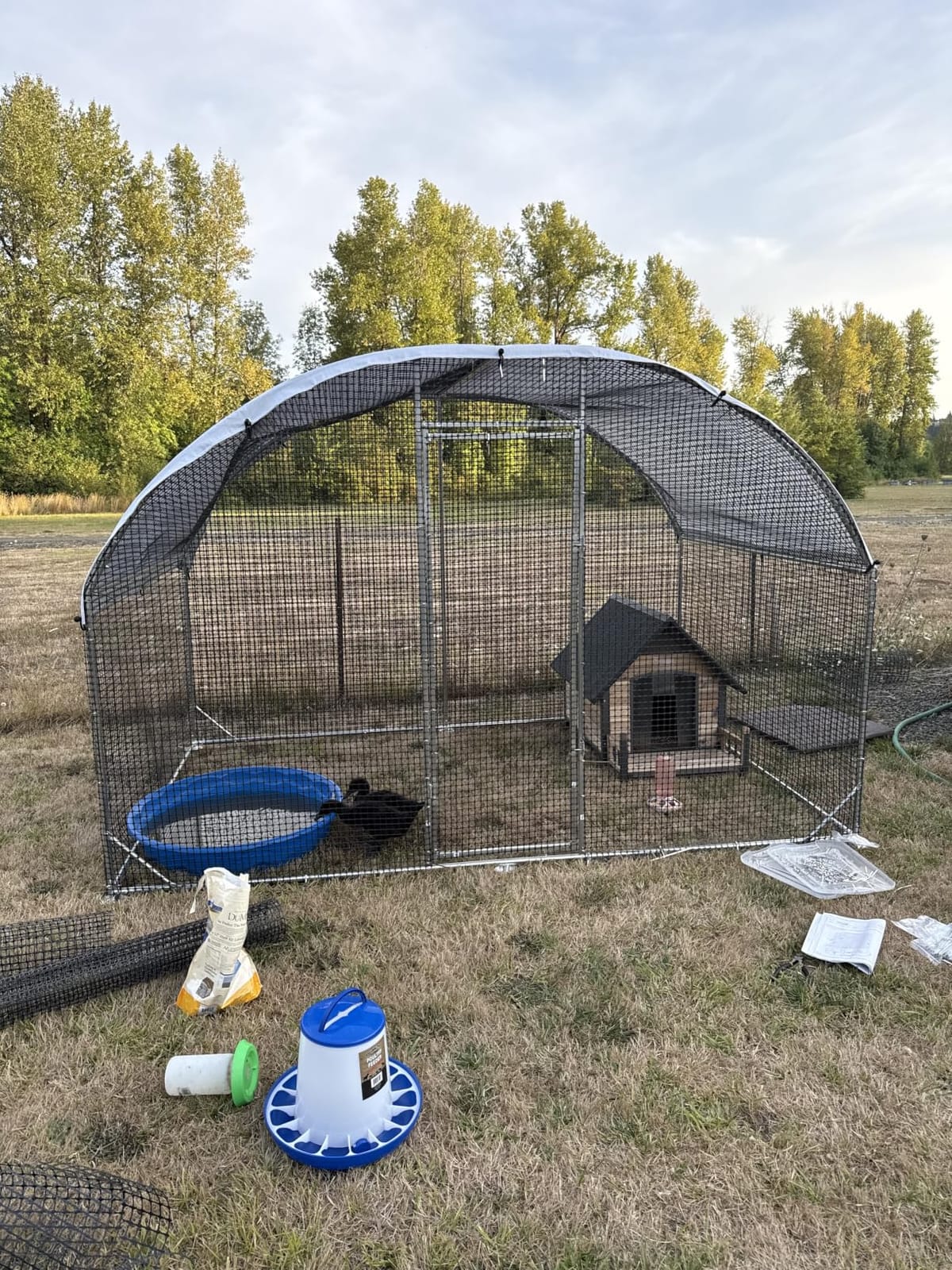 Large Walk-in Chicken Coop with Chicken Run, Galvanized Poultry Enclosure with Waterproof Anti-UV Cover and Security Lock, Ideal for Rabbit, Duck, Backyard and Farm Yard, 13.1'x 9.8'x 6.6' customer photo 2