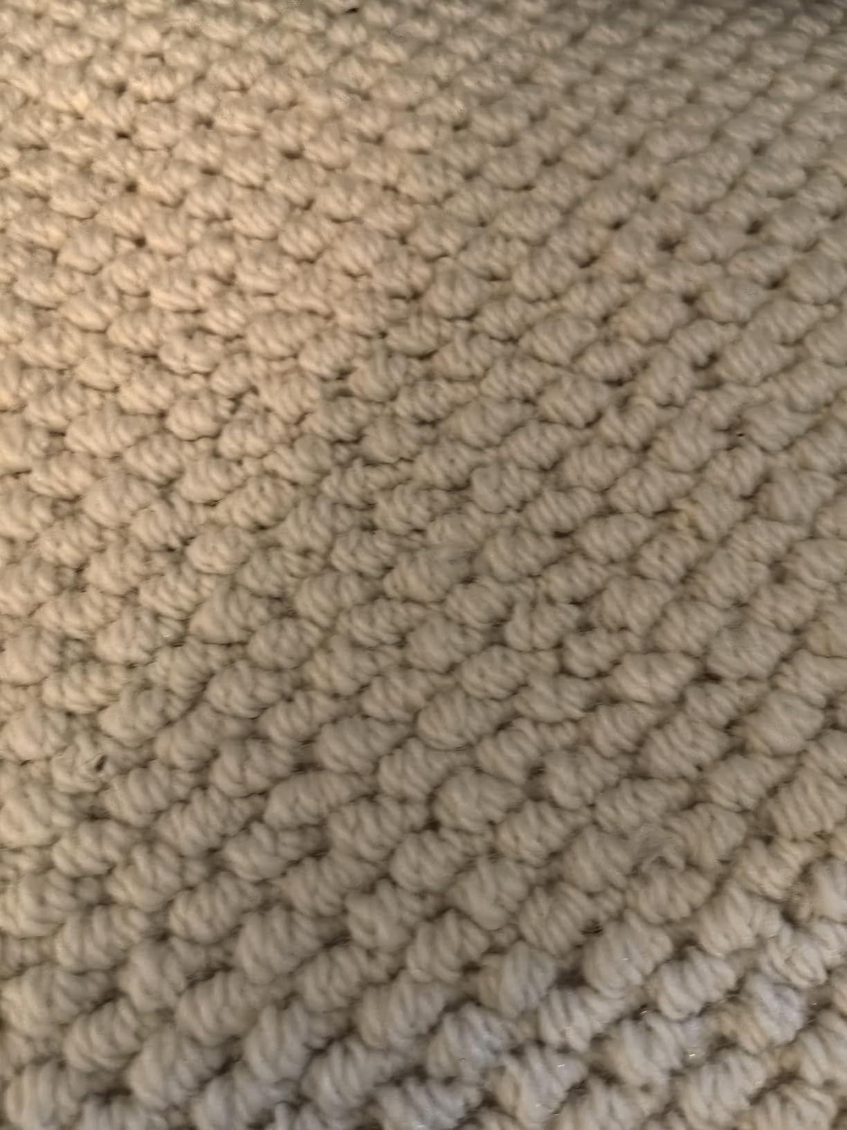 LIANLAM Handwoven Wool Rug, 8x10 Area Rug for Living Room (8'x10', Beige) | 80% Merino Wool + 20% Cotton Handwoven Rug, OEKO-TEX Safe Natural Materials Washable Rug, Stain-resistant & Non-slip for Bedroom customer photo 2