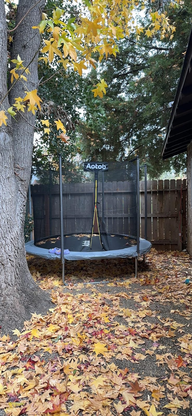 AOTOB 12 FT/14 FT Rectangle Trampoline with Net | Perfect Outdoor Rectangular Trampolines for Kids - Gymnastics Style Tranpoline with Enclosure & Ladder , Max Load 440 lbs customer photo 1