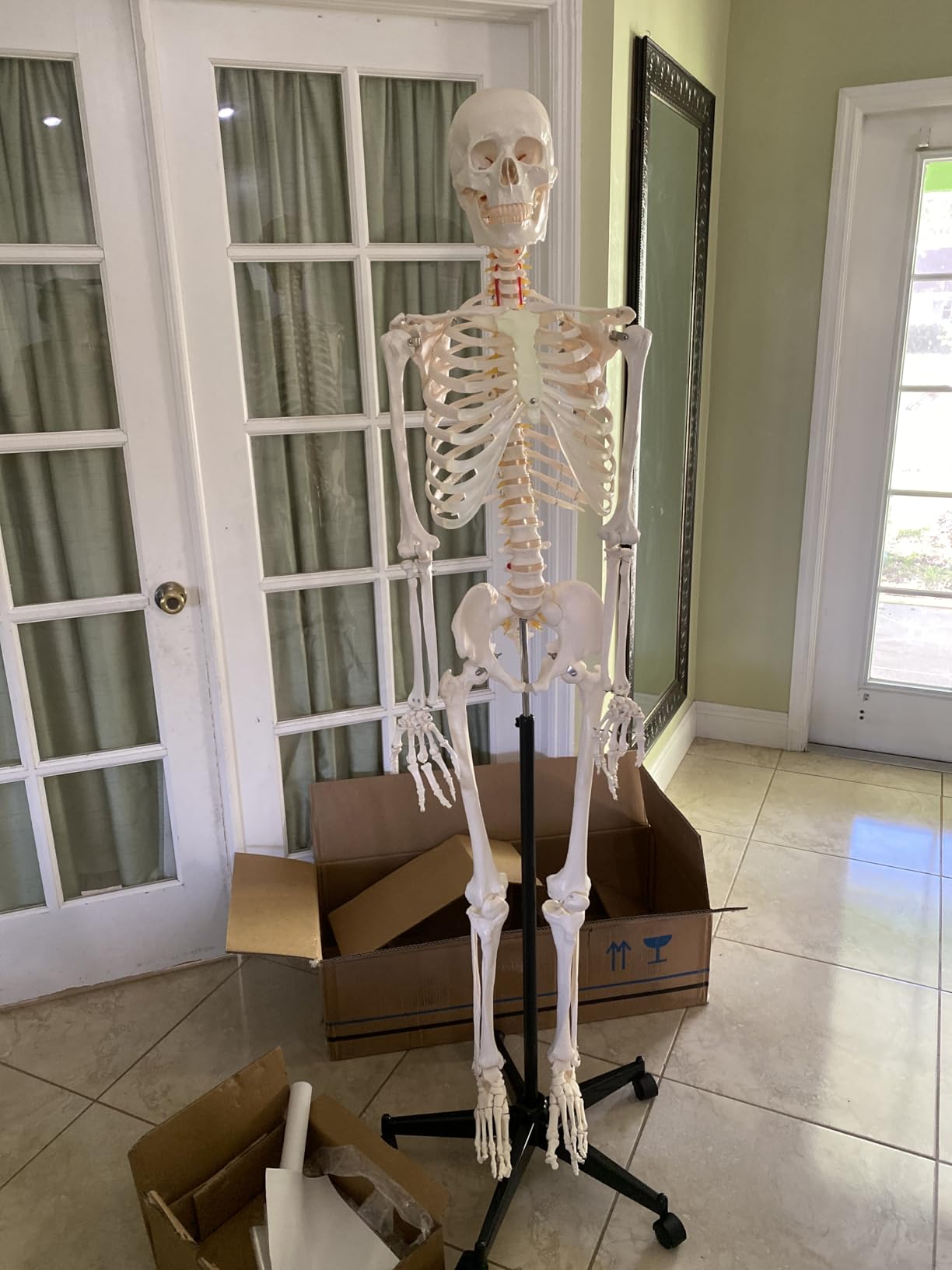 breesky Life Size Skeleton for Halloween: 5.4ft Realistic Human Skeleton customer photo 2