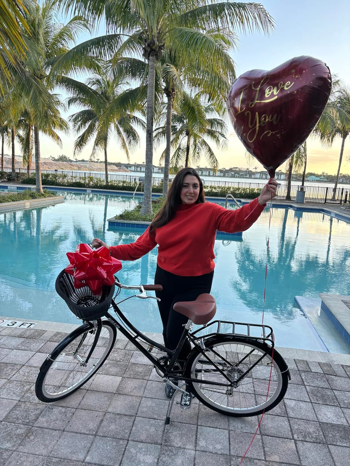 AVASTA Vela 26 Inch High Tensile Steel Frame Women Female Hybrid Bike | Dual V-Brake, Alternative Light or Basket, Wide Saddle, Step-through Frame with Smooth 6-speed for Comfortable Commuting customer photo 1