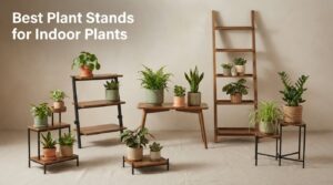 Best Plant Stands for Indoor Plants