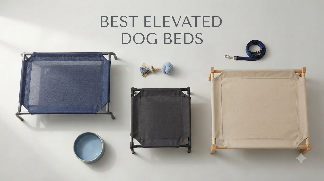 Best Elevated Dog Beds