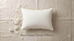 Best Goose Down Pillows