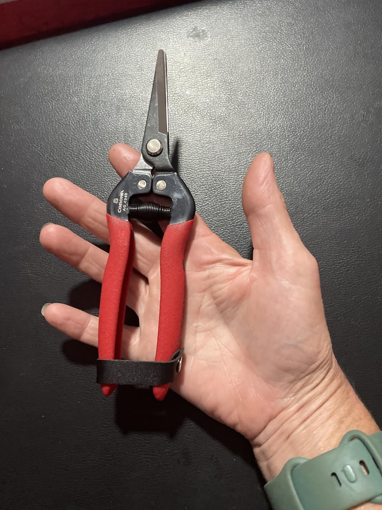 Corona Tools Long Curved Snips – 1.75″ Tempered Steel Precision Garden Shears for Fruit, Herbs, Flowers & Vineyard Use customer photo 1