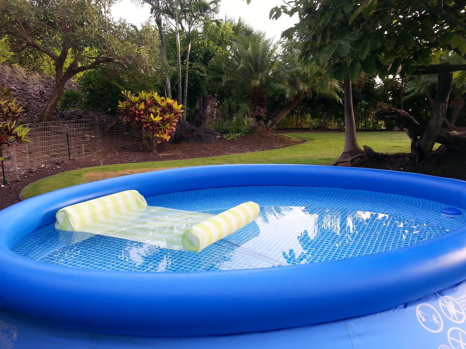 INTEX Easy Set 10ft x 30in Inflatable Ring Above Ground Swimming Pool customer photo 1