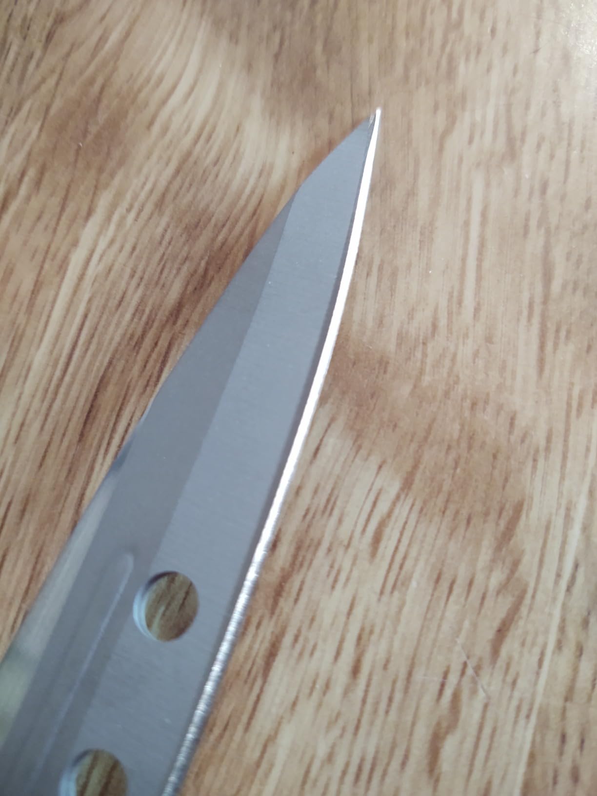 JapanBargain 1551, Non-Stick Yanagiba Sashimi Knife Japanese High Carbon Stainless Steel Sushi Chef Knife Made in Japan, 200mm customer photo 1
