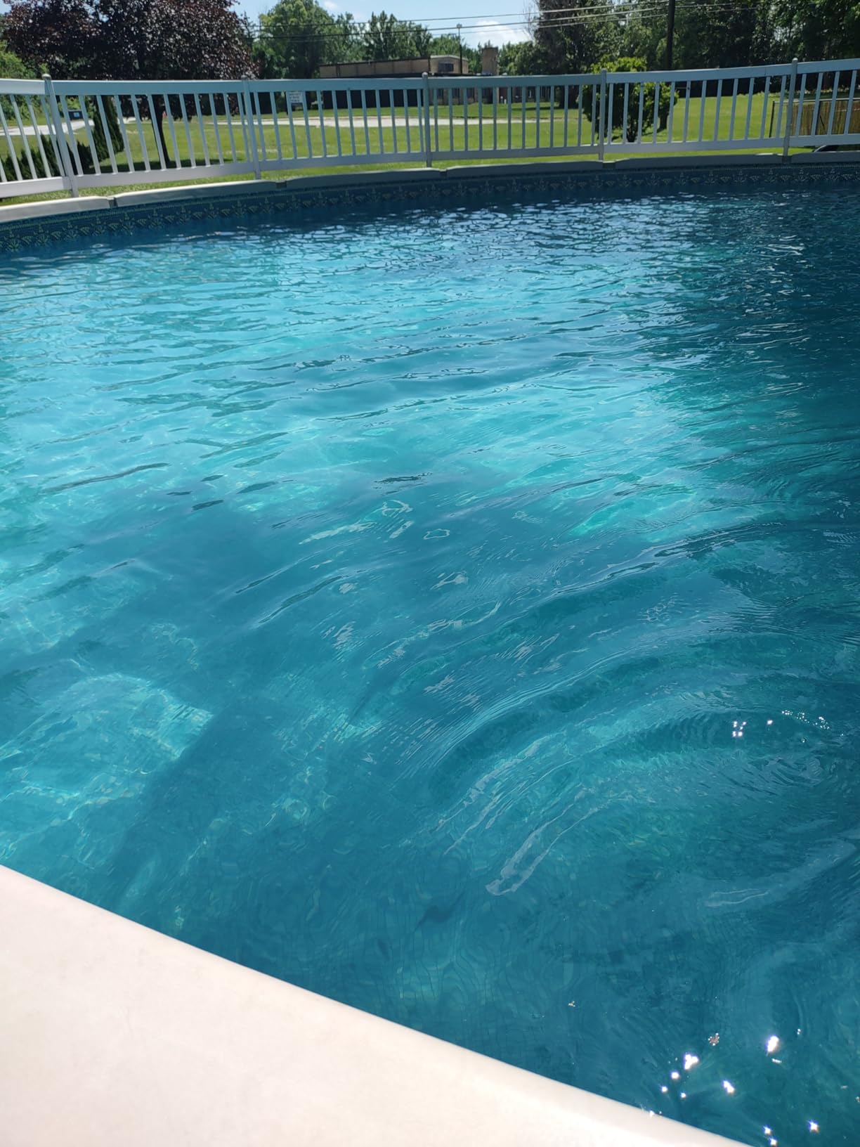 Hayward Automatic Chlorine Chemical Feeder In-Ground and Above Ground Pools customer photo 1