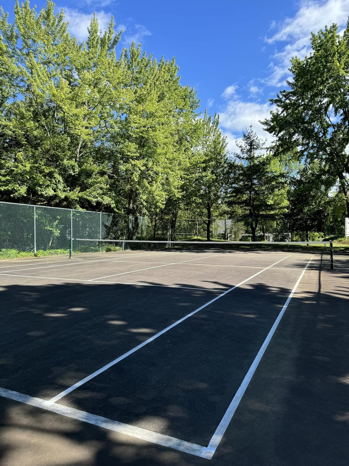 VERMONT Tennis Net – Championship Quality, Heavy-Duty HDPE | 42ft Doubles or 33ft Singles | 4 Thickness Options (2mm–3.5mm) customer photo 1