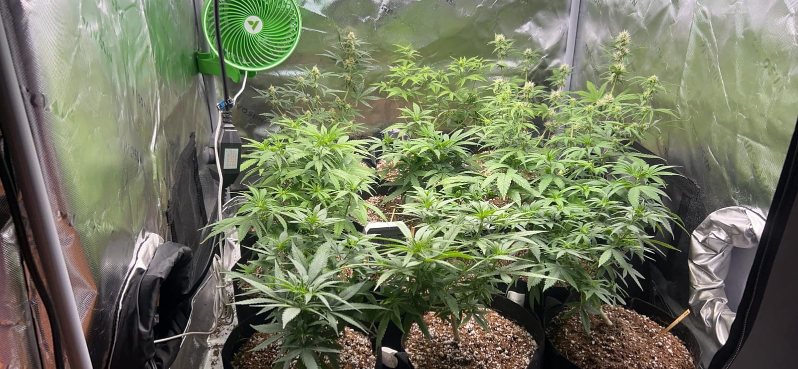 Bluelab Commercial Truncheon Digital Nutrient Meter customer photo 2