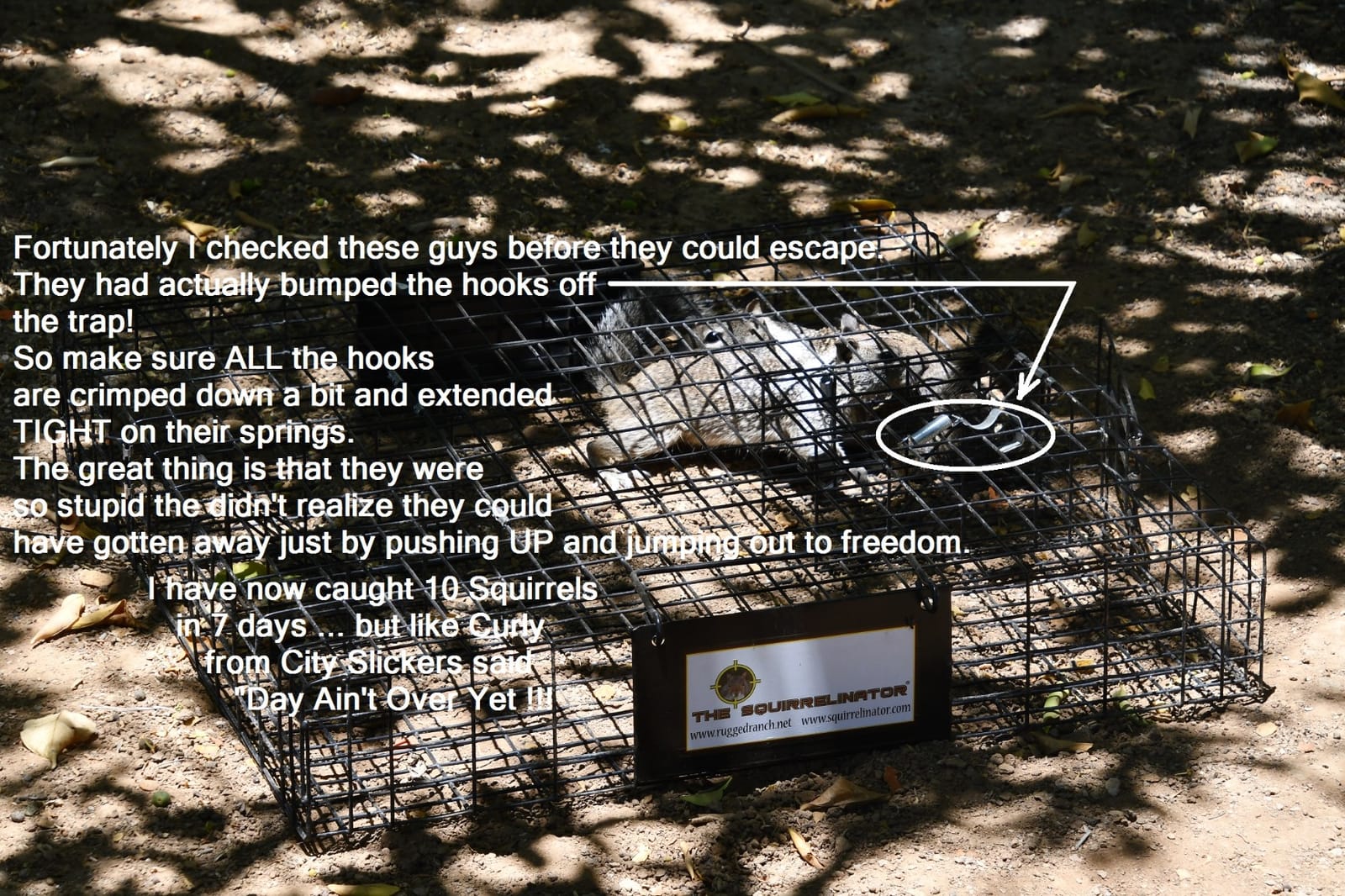 Rugged Ranch Squirrelinator Humane Multi-Catch Metal Wire Live Animal Trap customer photo 2