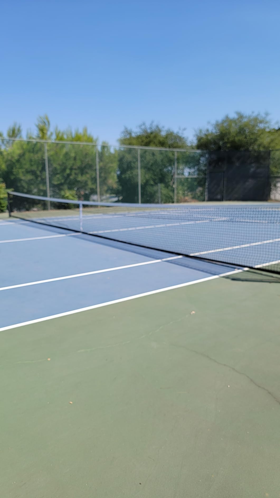 Dynamax Sports Super Pro Tennis Net Double, Series 700D customer photo 2