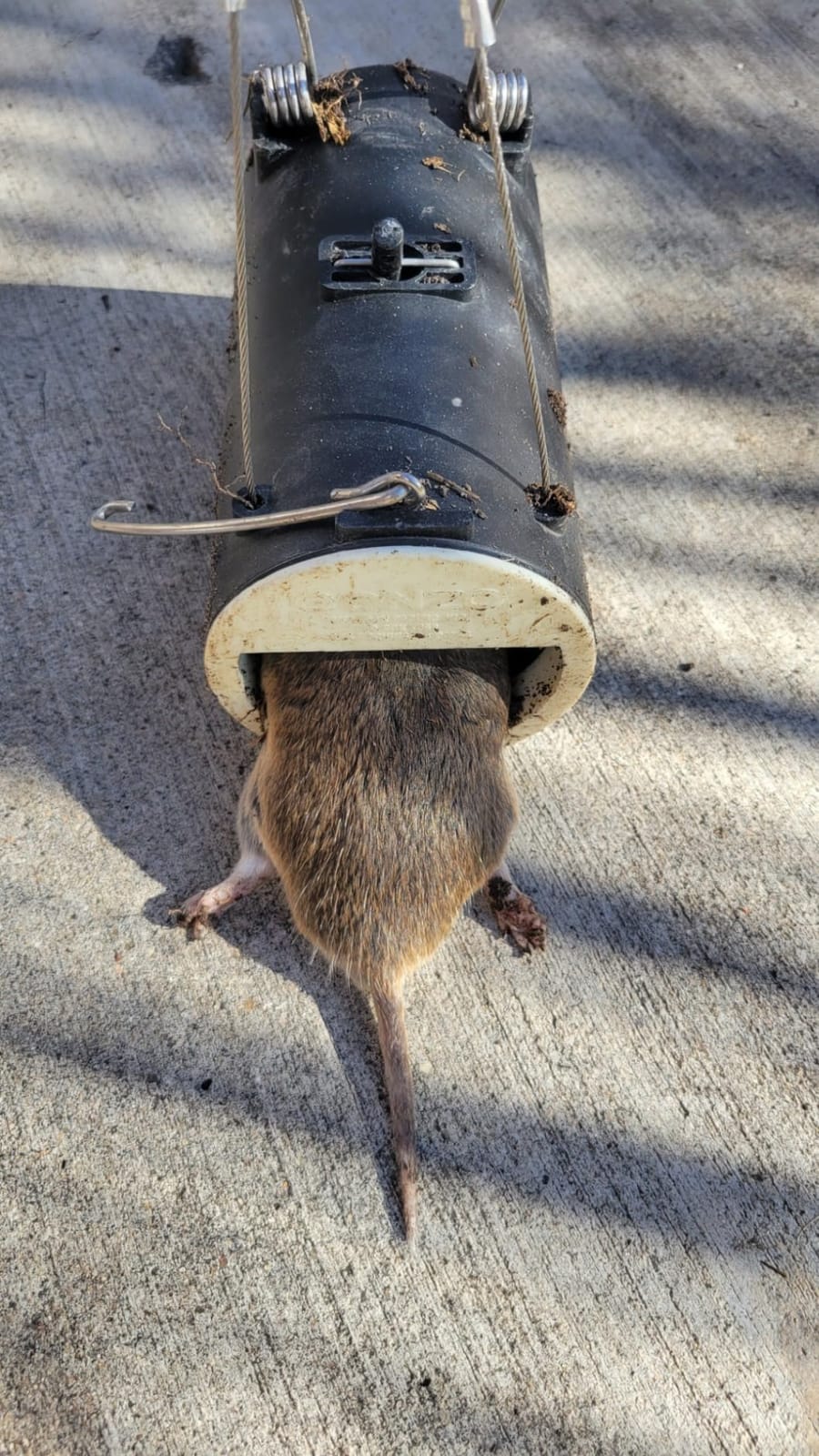 Gonzo 5001 Dead-End Mole & Gopher Trap customer photo 2