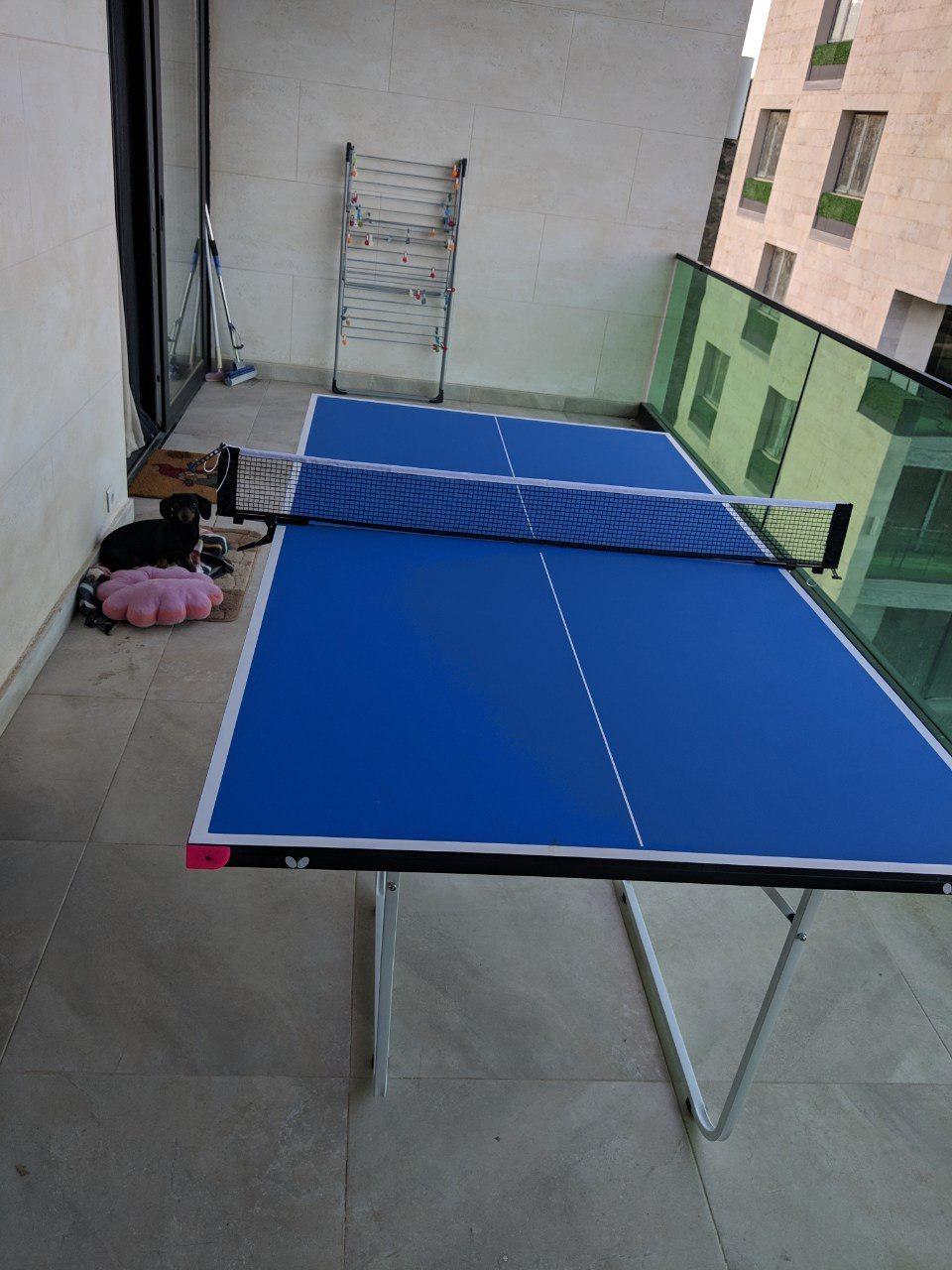 Butterfly Junior Ping Pong Table - 3/4 Size Table Tennis Table - Space Saver Game Table for Game Room - Regulation Height Ping Pong Table - Sturdy Frame - Ships Assembled with Net customer photo 1