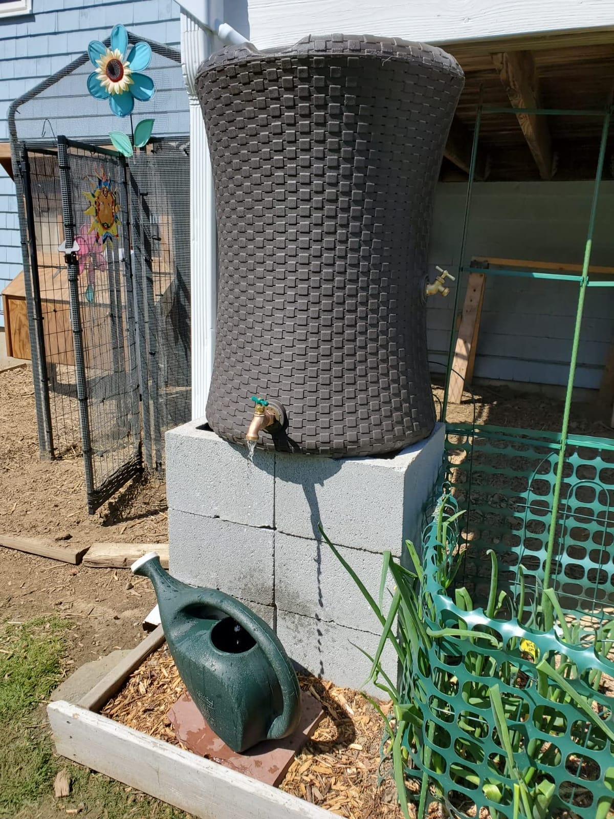 Good Ideas Impressions Nantucket Rain Water Collection Barrel, 50 Gallon customer photo 1