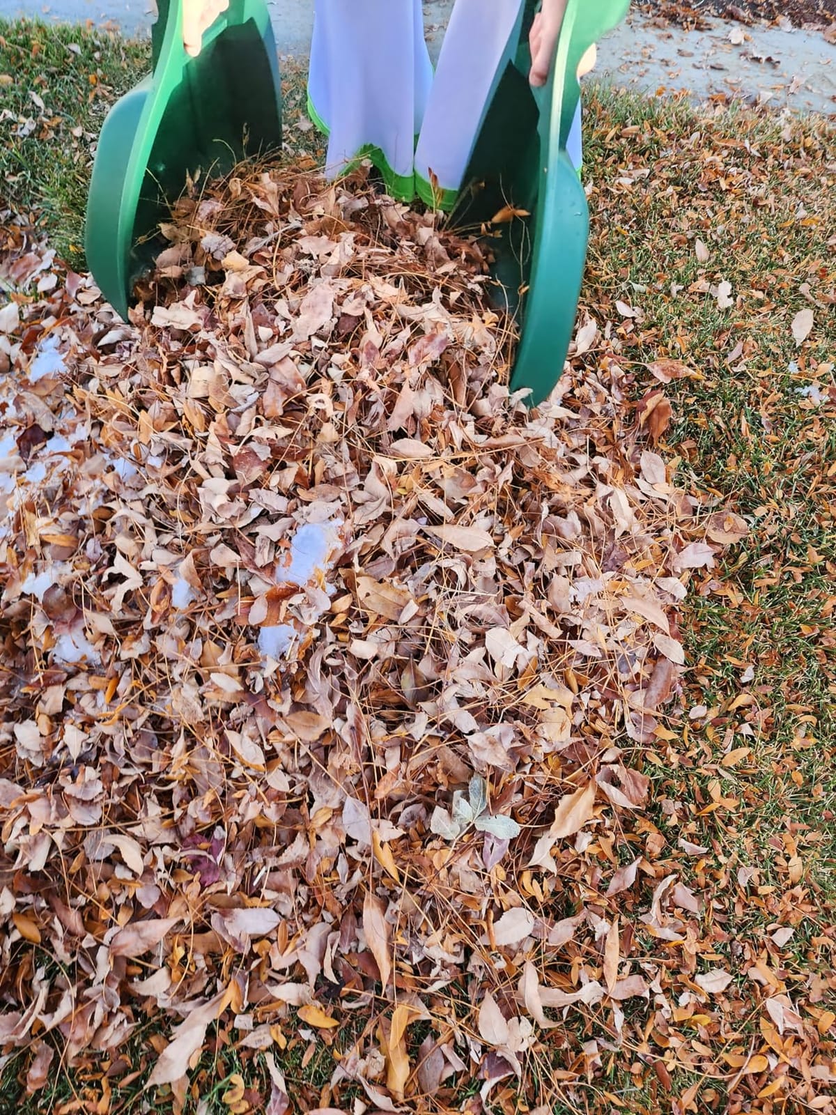 Pure Garden Leaf Scoops Hand Rakes, Green customer photo 1