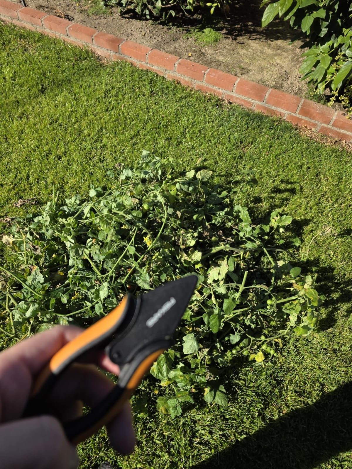 Fiskars 5