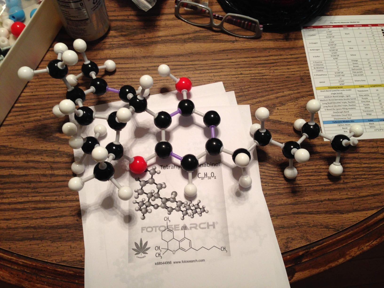 RELIANCER Molecular Model Kit,444PCS Organic Molecular Chemistry Set w/C60,Atoms,Bonds,Molecular Structures Building Kit for Chemistry Learning,STEM Science Kits for Teachers,Students,Young Scientists customer photo 1