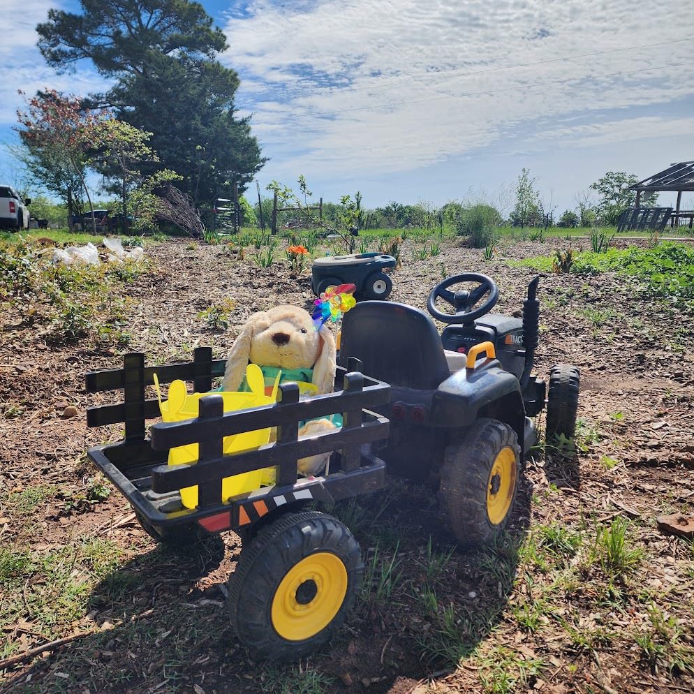 TOBBI 12V Kids Electric Tractor, Toddlers Ride On Vehicle Toy with Trailer customer photo 2