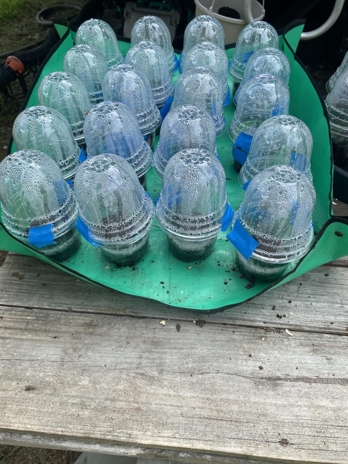 MIXC Nursery Pots with Humidity Dome, 4