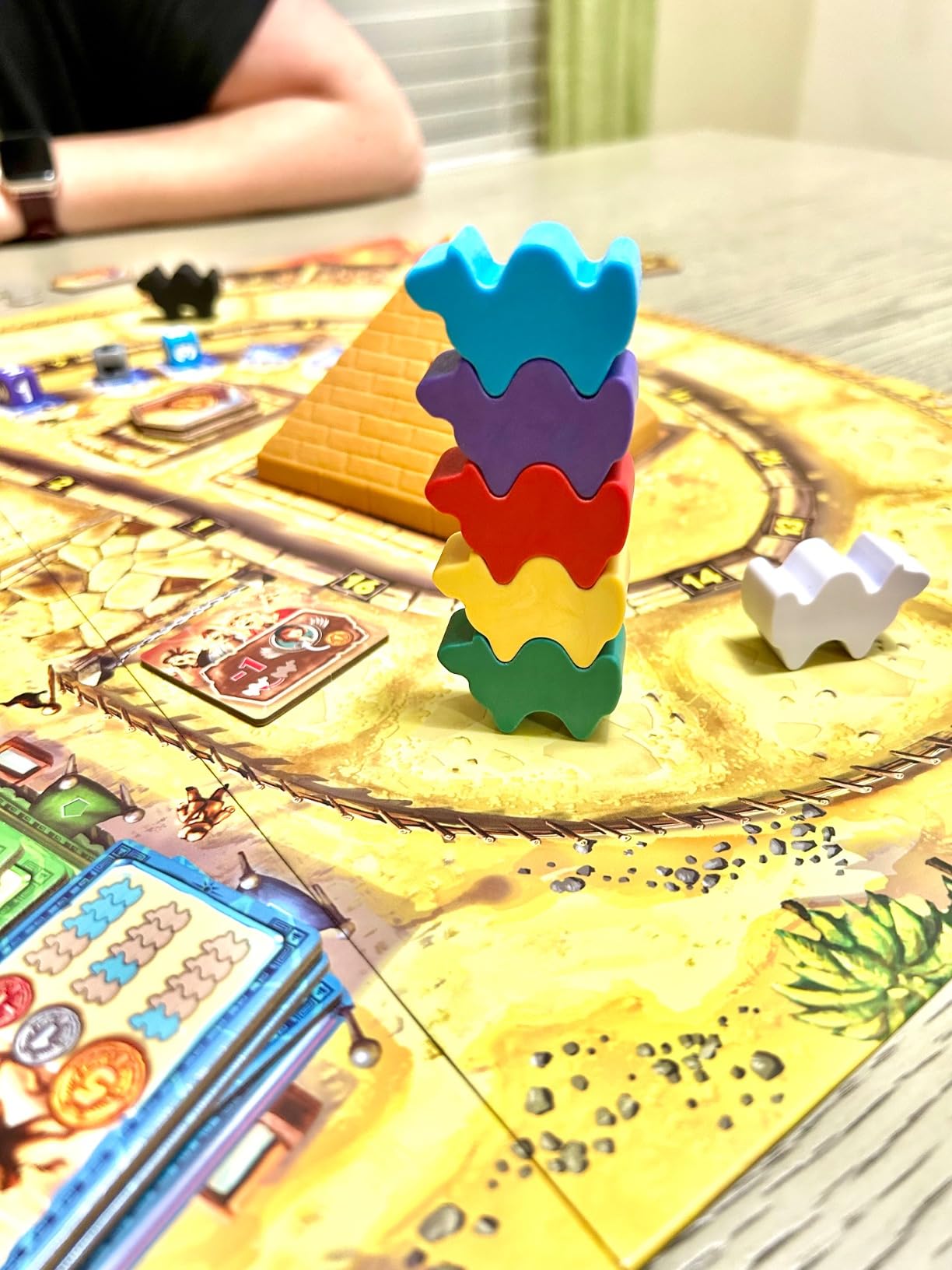Camel Up (Second Edition) - Exciting Camel-Racing Betting Strategy Game! Fun Family Game for Kids & Adults, Ages 8+, 3-8 Players, 30-45 Minute Playtime, Made by Eggertspiele customer photo 2