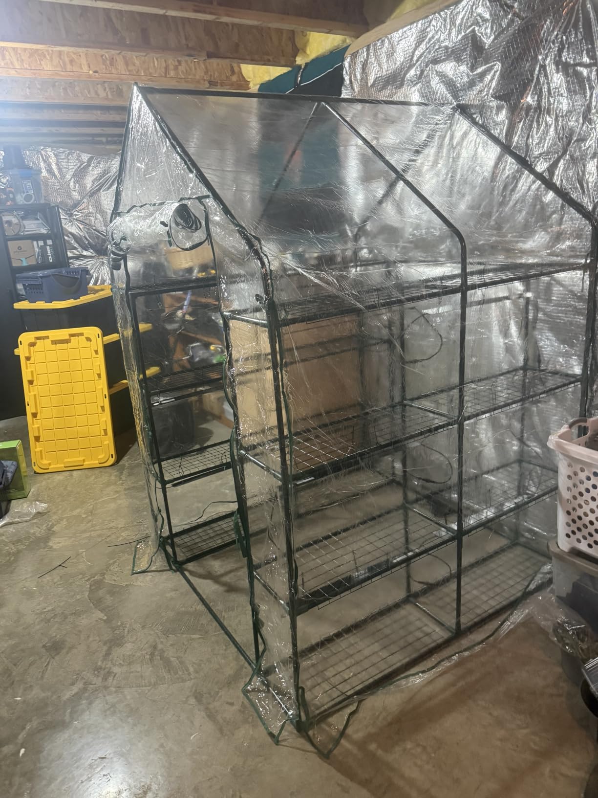 Bstrip Indoor Greenhouse with Grow Light, 4-Tier Mini Greenhouse Indoor customer photo 2